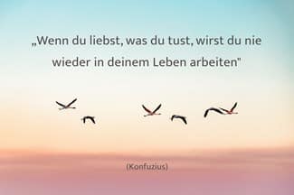 wenn-du-liebst-was-du-tust-wirst-du-nie-wieder-in-deinem